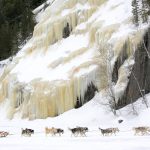 Traîneau à chien, une des nombreuses activités d'hiver offertes à l'hôtel Sacacomie.