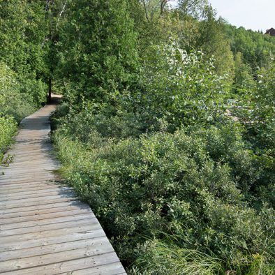 Chemin de bois derrière la plage de l'hôtel Sacacomie à St-Alexis-des-Monts. Chemin qui mène à l'un des nombreux sentiers de la forêt autour de l'hôtel Sacacomie.